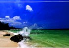 The Rebound of  Indian Tourism