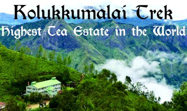 Kolukkumalai Trek - Highest Tea Estate in the World