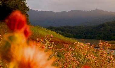 Autumn in  Azerbaijan