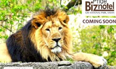 Pride Group of Hotels signs ‘Pride Biznotel’ in GIR