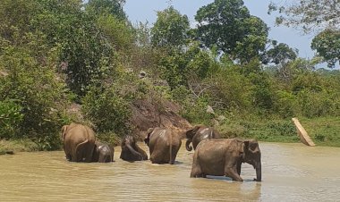 Sri Lanka Tourism's Roadshow in Indore, Vadodara, and Surat