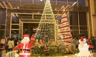 Sayaji Kolhapur Lights up the Festive Season with an Enchanting Tree Celebration