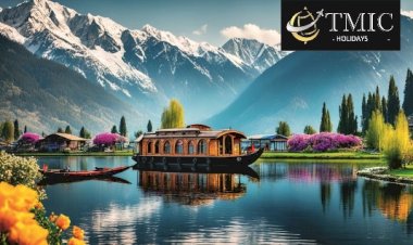 TMIC Holidays Kashmir: Your Trusted B2B Travel Partner for Kashmir and Ladakh